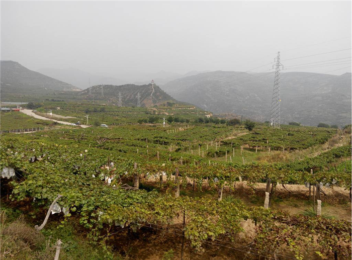 拔奎村农村供水设备